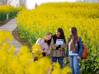 Zhejiang Normal University