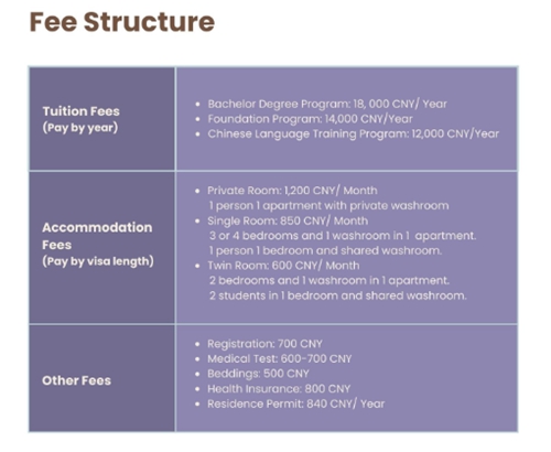 2025 March Intake Application to study in China（SAU）